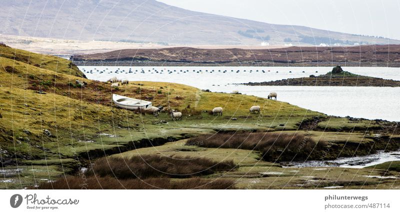 country in view Nature Landscape Autumn Climate change Weather Wind Grass Bushes Meadow Field Hill Lakeside Ocean Island Bog Marsh Ireland Fishing village