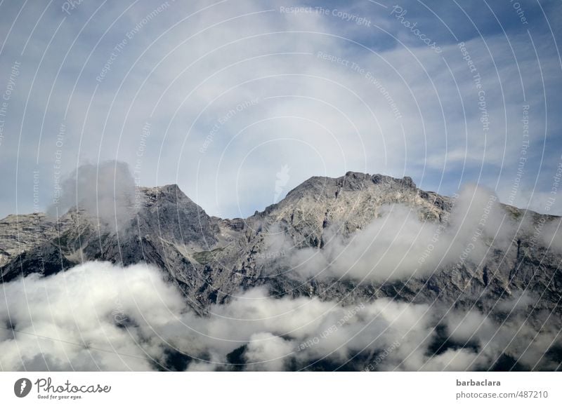 Packed in cotton wool Environment Nature Landscape Elements Sky Clouds Alps Mountain Peak Tall Experience Climate Far-off places Colour photo Exterior shot