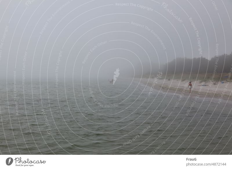 strange | fog in summer by the sea Ocean Baltic Sea coast Beach Sandy beach Waves trees Summer vacation Vacation & Travel people Swimming & Bathing Walking