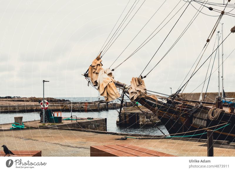 Old sailing ship in the harbor of Gudhjem on Bornholm / Denmark Sailing Sailing ship gudhjem Baltic Sea Historic sail mast Harbour bow fuselage Navigation