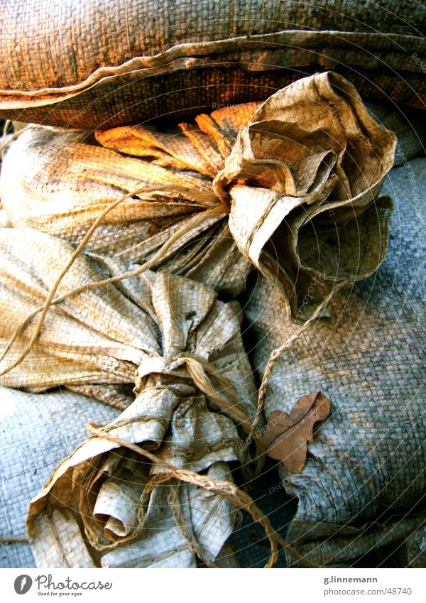 Old sacks at sunset Dirty Construction site Autumn Leaf Sunset Go under Sack Narrow Crush Cramped Near Heap Sand Poverty Sadness