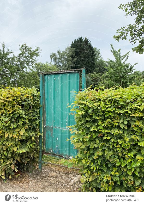 An old and rusted green garden gate blocks the access to the garden Garden door Goal Hedge Entrance Passage Closed Access old garden gate trees corroded too