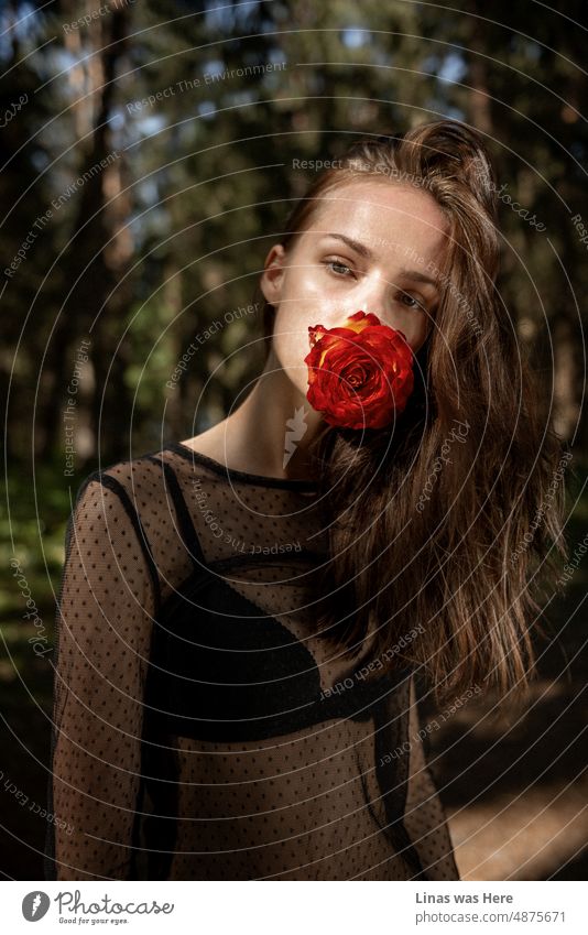 A gorgeous brunette girl with a red flower in her mouth. Enjoying the perfect summer. Showing some sexy curves and a black bikini. In these cozy woods. Red rose