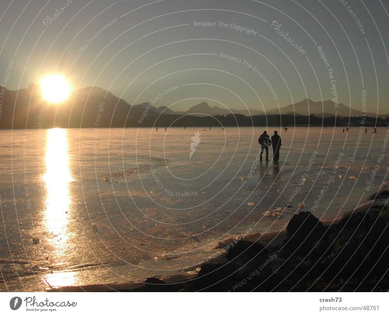 Lake Hopfen Winter Human being Allgäu Sunset Cold Ice Mountain