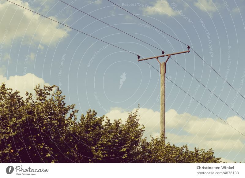 An old wooden power pole and power lines, bushes and sky Power lines Electricity pylon Wooden power pole Overhead line transmission line stream Energy industry