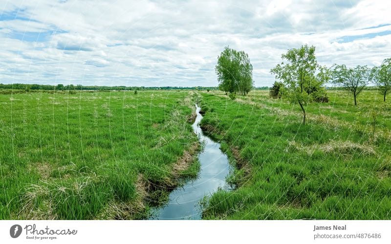 Stream runs through a green grassy landscape horizon spring natural color vibrant drain meadow background lawn plant tree scenic outdoors farm sunlight