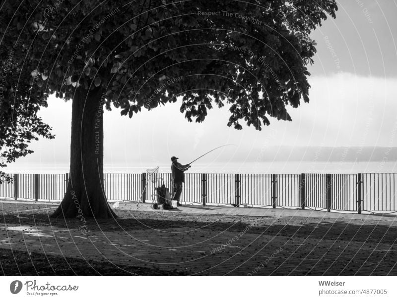 On the shore of a lake the angler waits for his catch Angler Fishing (Angle) Catch Light sunny warm meditative Calm Tree Shadow Summer Summery Nature rail Fence