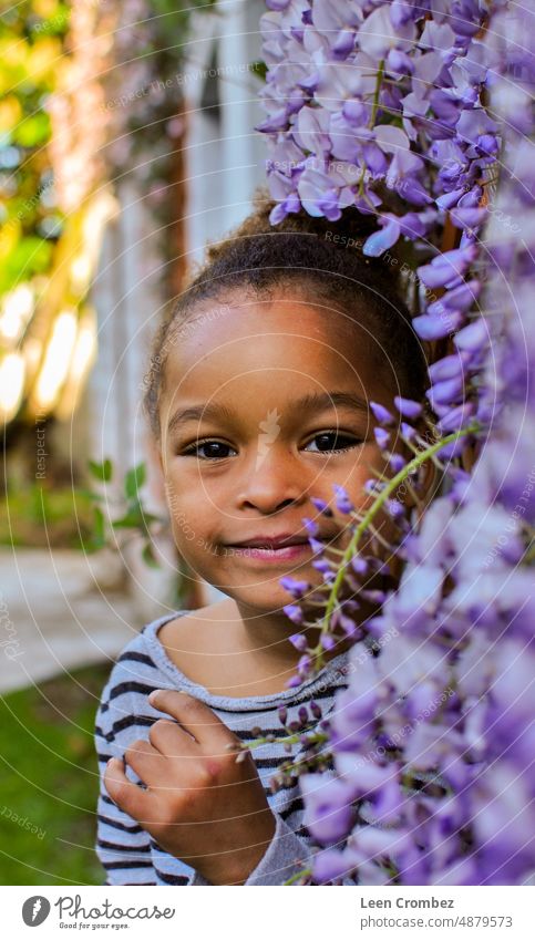 Toddler  girl of mixed race with curly hair posing in between purple wisteria flowers Girl spring summer green plant portrait beauty smile toddler Cute curls