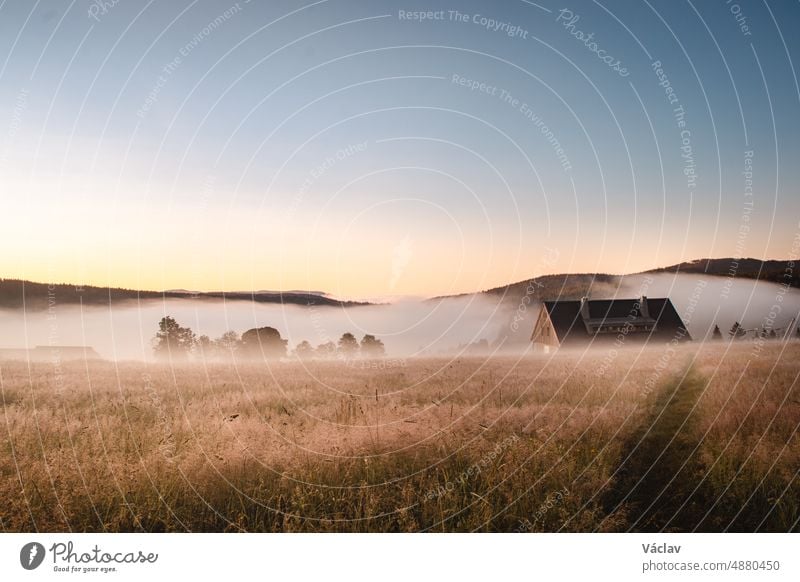 Morning fog drifts across the Šumava landscape near the village of Kvilda in the south of Šumava on the Czech side. Dawn on a wild meadow. Jewel of the Bohemian Forest