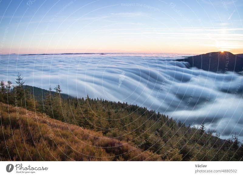 Sunset on Lysa hora mountain in Beskydy mountains above floating blue clouds. Fairy-tale landscape with blue, red and orange light. Spruce forest lysa hora