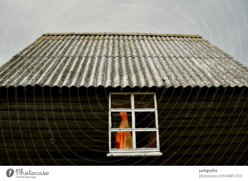 Cottage at the harbor Hut Corrugated iron roof Roof Corrugated sheet iron Wooden hut Wooden wall House (Residential Structure) Wooden house lines Denmark