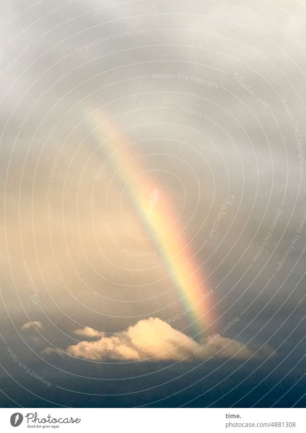 Nature's whim Rainbow cloud Sky Visual spectacle natural spectacle sunny Shadow hazy blurred blurriness Weather Illuminate