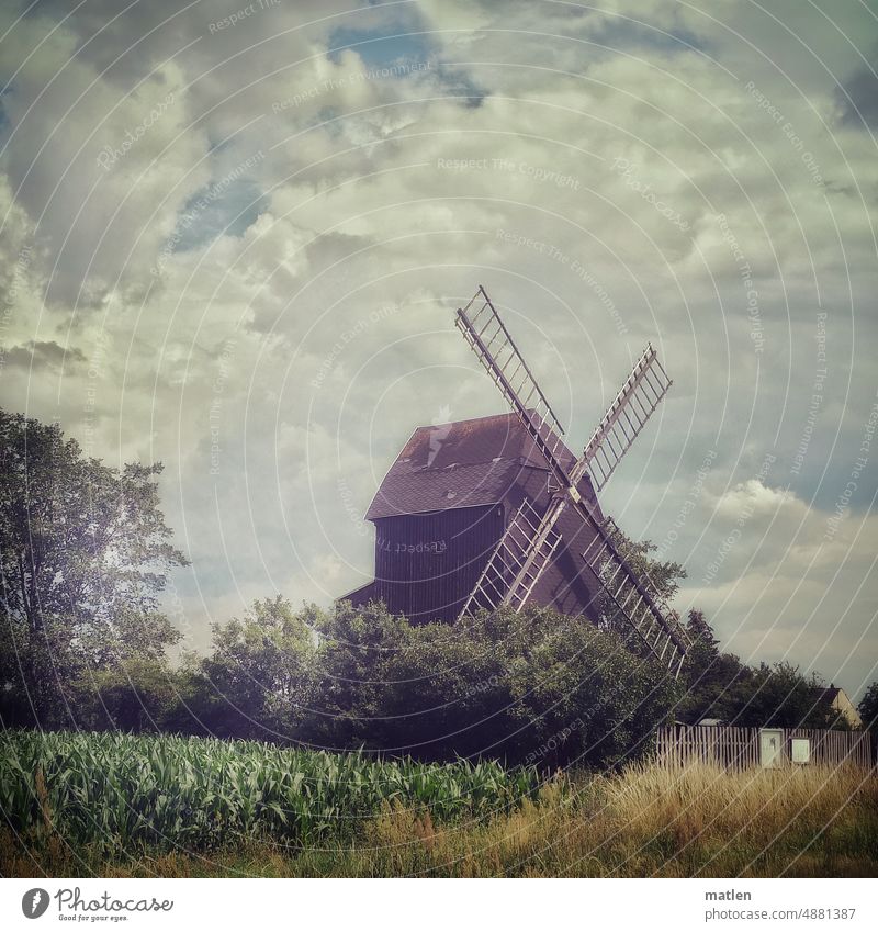 windmill Windmill Tree shrub Field county Fence Meadow Sky Clouds muggy