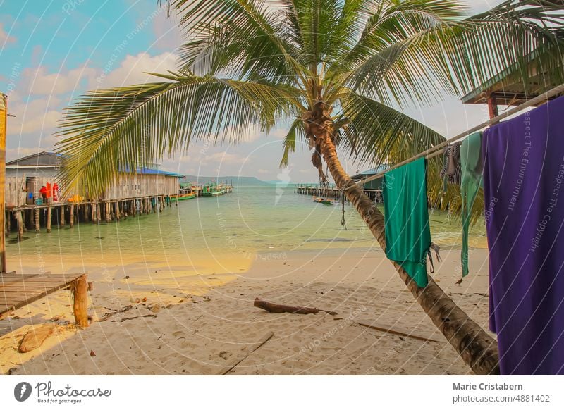 Bungalows on the beach of Koh Rong Samloen in Cambodia, a popular summer travel destination koh rong samloen island paradise cambodia summer getaway vacation