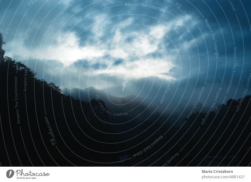 Dark fog descending on a tropical forest as a thunderstorm rolls in tropical storm weather climate storm clouds dark ominous environment howling forecast