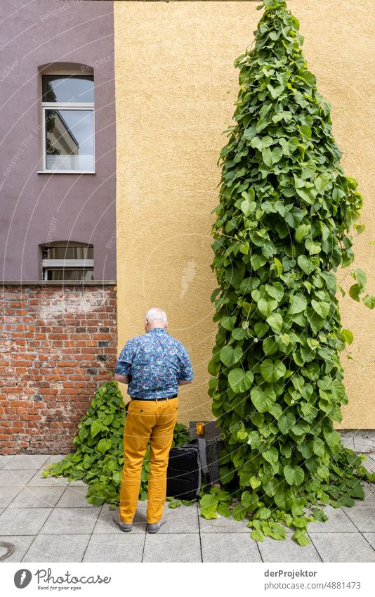 Wall with window, wall, man, bush and suitcase Exterior shot Gloomy real estate Multicoloured Copy Space left Copy Space bottom Real estate market