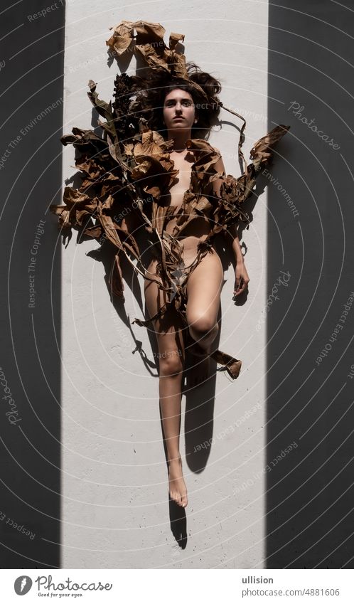 young sexy woman lies between two black shadow stripes with dark brown hair artfully covered with dry decorative banana tree leaves on the floor in the sun and casts a strong shadow