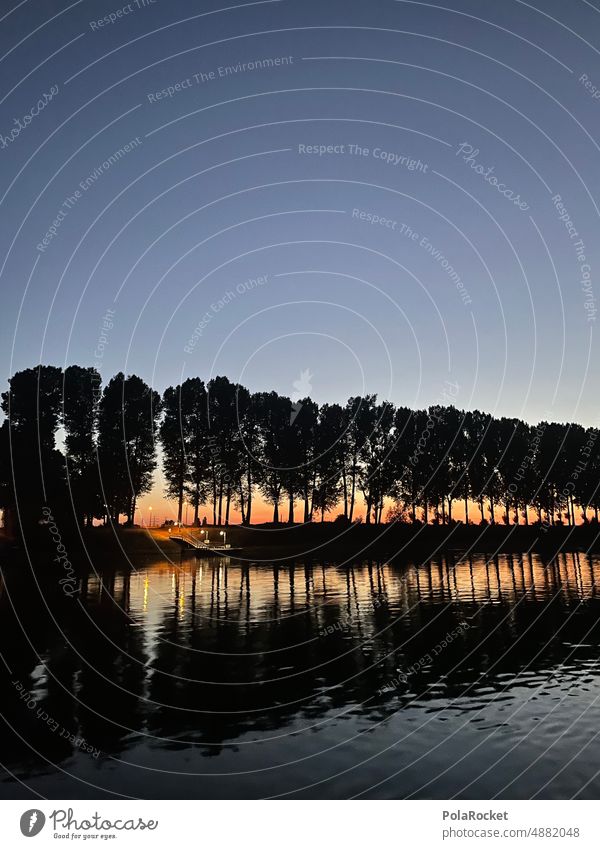 #A0# Elbe idyll River Idyll Peaceful trees Horizon Sunset Silhouette silhouette Shadow reflection Water Jetty Ferry ferry trip Ferry terminal Row Symmetry