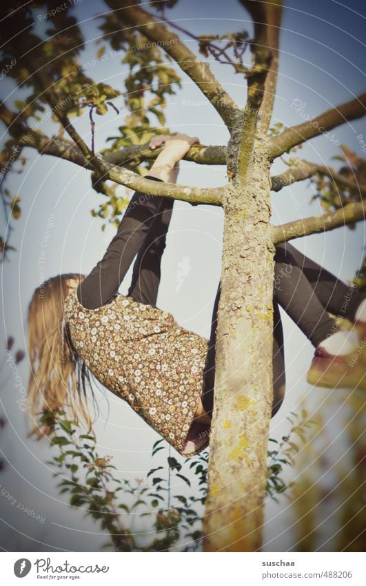 up the tree 3 Feminine Child Girl Infancy Head Hair and hairstyles Arm Hand Legs Feet 8 - 13 years Wood To hold on Healthy Wild Tree trunk Apple tree Climbing