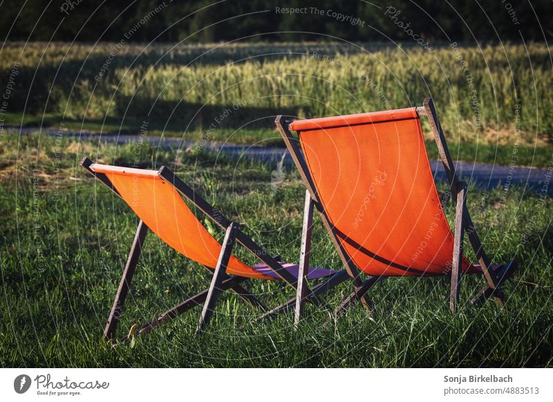 Starring at the beach...ahm forest...deck chairs on a lawn overlooking the forest- vacation at home in Covid times Deckchair deckchairs Forest dahoam