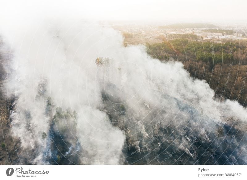 Aerial View. Dry Grass Burns During Drought And Hot Weather. Bush Fire And Smoke In Meadow Field. Wild Open Fire Destroys Grass. Nature In Danger. Ecological Problem Air Pollution. Natural Disaster