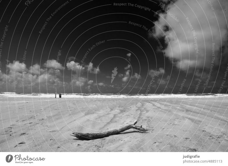 Beach with clouds Sand Sky Clouds Ocean coast North Sea Water Landscape Horizon Vacation & Travel Summer Denmark Jutland North Sea coast Moody Loneliness