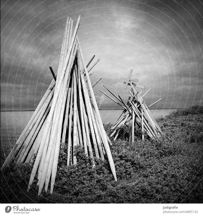 Nissum Fjord pole wooden poles Tee Pee fishing Harbour Fishery Maritime coast Denmark Jutland Dry Water Black & white photo Square