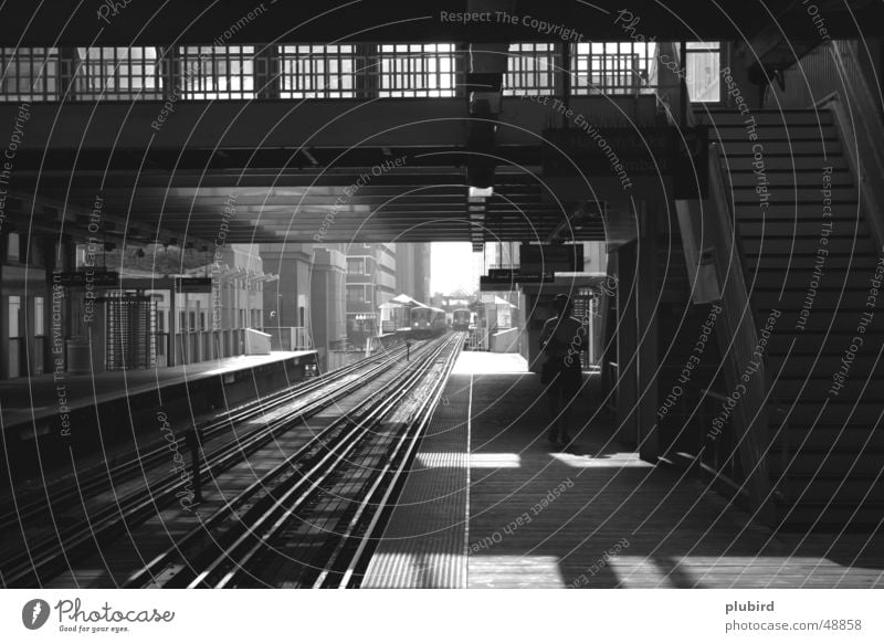 The Loop - Chicago Railroad Commuter trains Black White Platform Town Endurance Underground trams Black & white photo track Wait Patient