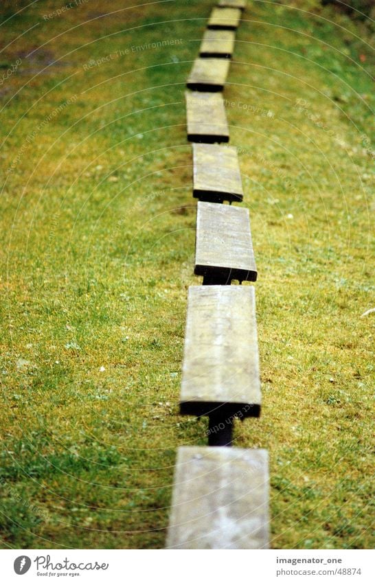 0008 Autumn Minimal Bench Wood Grass Row