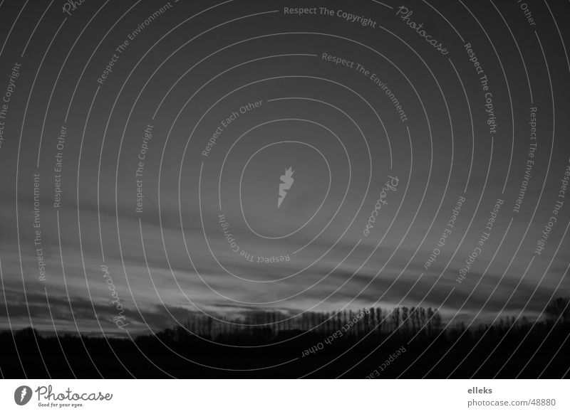 When the sky sticks to trees. Tree Sunset Monochrome Black White Clouds Dark Spreewald Evening Black & white photo Sky Fear elleks alexander lux