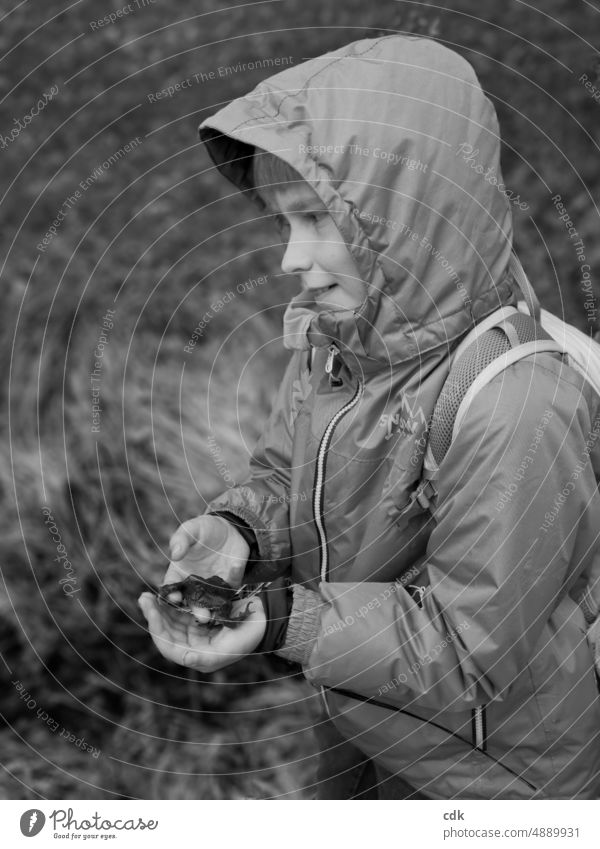 Child & Toad | Animal Encounter During Spring Toad Migration Human being Boy (child) Painted frog Hand hands hold in one's hands Touch Experience marvel OBSERVE