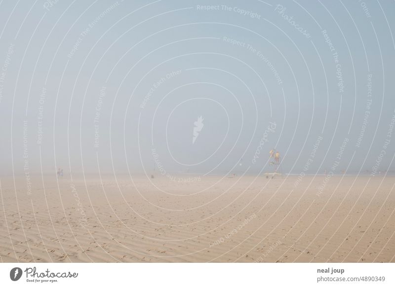 Diffuse shoreline on sandy beach with fog Abstract hazy coast coastal fog Fog Weather phenomenon Phenomenon Ocean Beach bank Sand Landscape Summer Picturesque