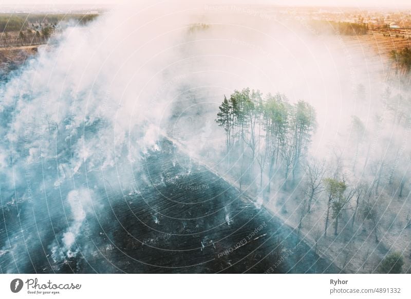 Aerial View. Spring Dry Grass Burns During Drought Hot Weather. Bush Fire And Smoke In Forest. Wild Open Fire Destroys Grass. Nature In Danger. Ecological Problem Air Pollution. Natural Disaster.