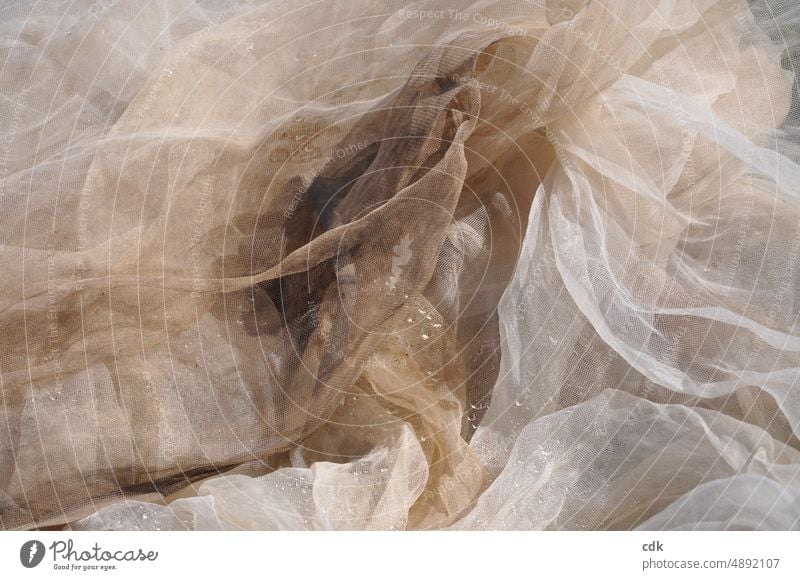 Drape of a net | beige tones | delicate & fine. Net Fine Muddled White Beige frowzy wetted with drops of water used agriculturally transparent Transparent