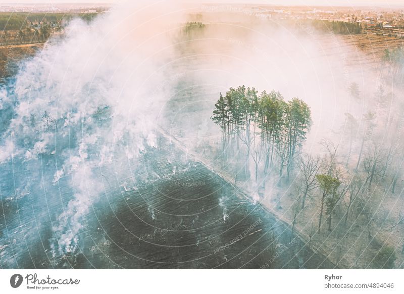 Aerial View. Spring Dry Grass Burns During Drought Hot Weather. Bush Fire And Smoke In Forest. Wild Open Fire Destroys Grass. Nature In Danger. Ecological Problem Air Pollution. Natural Disaster.