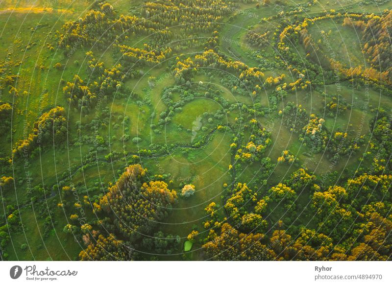 Aerial View Green Forest Woods park And Creek Stream Landscape In Summer Evening. Top View Of Beautiful European Nature From High Attitude. Drone View. Bird's Eye View