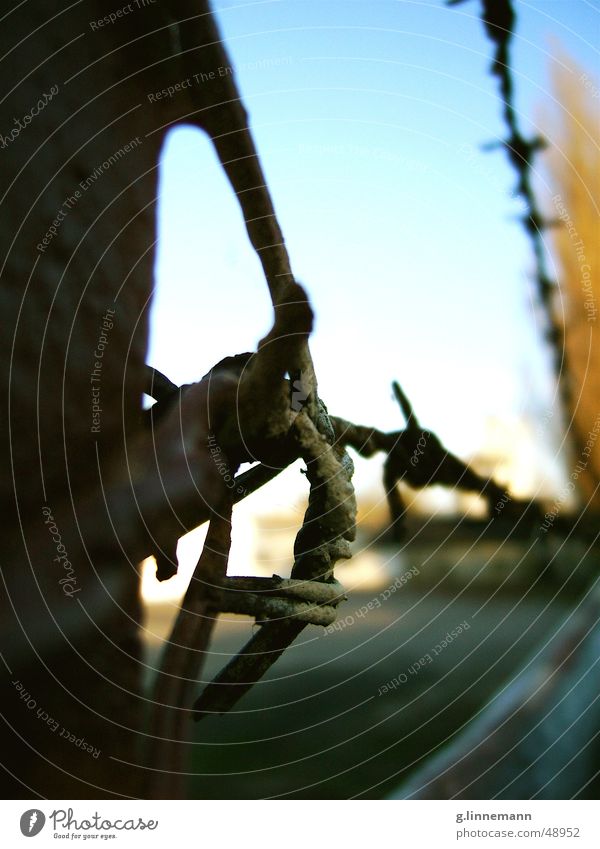 barbed wire Barbed wire Thorny Border Completed Zwinger Convict Narrow Curved Youth detention center Wire Wiry End Rust Sky Penitentiary Industrial Photography