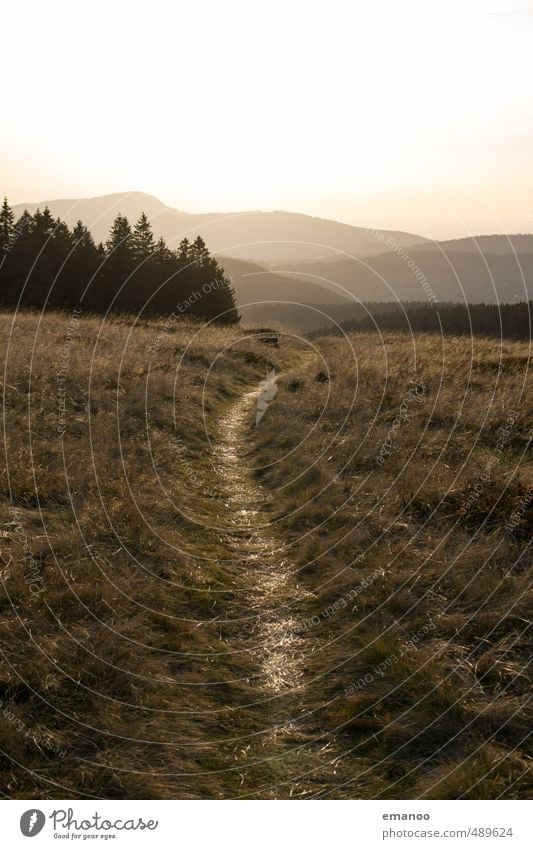 Black Forest Trail Vacation & Travel Tourism Trip Far-off places Freedom Summer Mountain Hiking Nature Landscape Plant Sky Weather Tree Grass Hill Peak