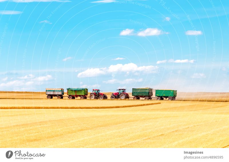 Harvest workers. Tractors with trailers on the horizon working on a wheat field. Harvesting wheat. Agriculture Field Rural Landscape Summer Farm Sky Grain