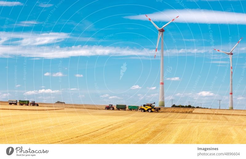 Harvest workers. Tractor with trailers on the horizon. Combine harvester working on wheat field. Harvesting wheat. Tractors Agriculture Field Rural Landscape