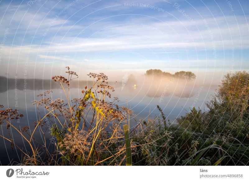 UT Teufelsmoor I Early morning fog over the moor devil's mire Sunrise Fog Bog Deserted Osterholz-Scharmbeck Dawn Sunlight Landscape Nature Vacation & Travel