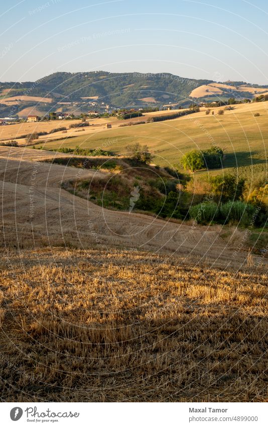 View of the fields near Tavullia at morning after the sunrise, Marche, Italy agriculture beautiful beauty blue clouds country countryside dawn day environment