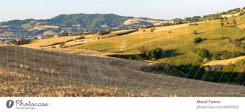 View of the fields near Tavullia at morning after the sunrise, Marche, Italy agriculture beautiful beauty blue clouds country countryside dawn day environment