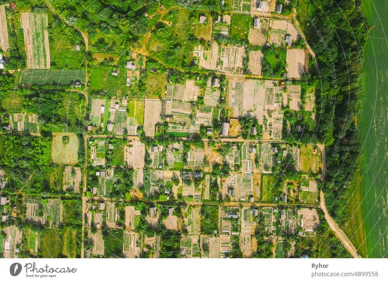 Aerial View Of Vegetable Gardens In Small Town Or Village. Skyline In Summer Evening. Village Garden Beds In Bird's-eye View aerial aerial view agriculture