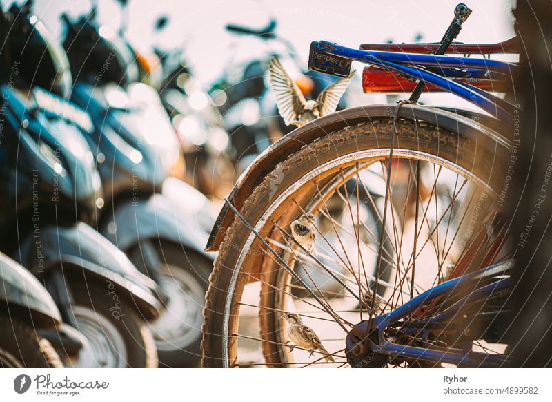 Goa, India. Close Up Of Bike Wheel Of Bicycle On Street active lifestyle bicycle bike bycicle city city bycicle close detail famous healthy india nobody old