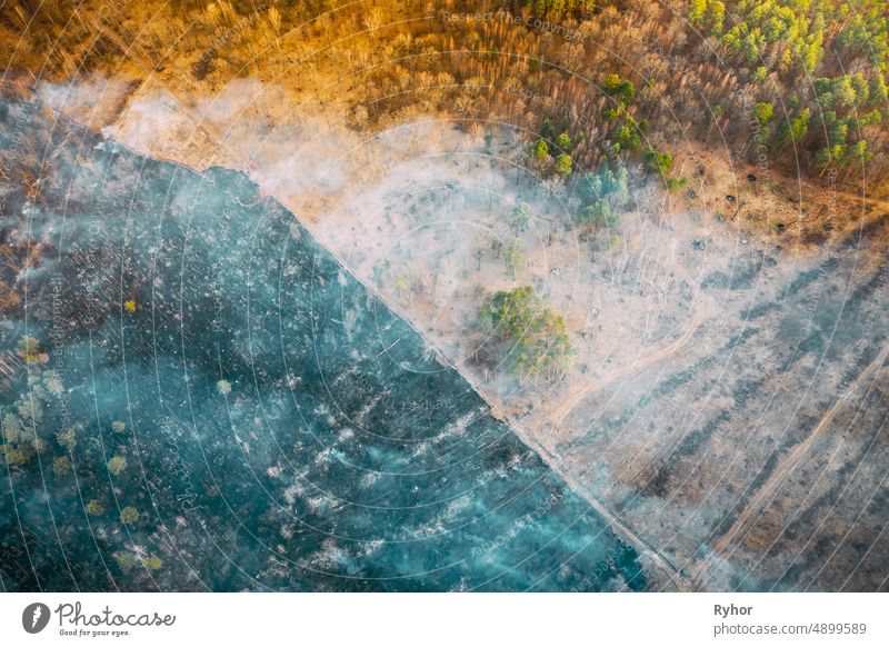 Aerial View. Spring Dry Grass Burns During Drought Hot Weather. Bush Fire And Smoke In Forest. Wild Open Fire Destroys Grass. Nature In Danger. Ecological Problem Air Pollution. Natural Disaster.