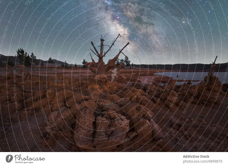 Dry Tree On Land Against Milky Way near lakeshore milky way Trunk Wood star Sky galaxy Dead astrology Nature astronomy RioTinto Wild Lakeshore Spain Remote Old