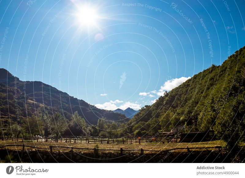 Farmland surrounded by green trees countryside mountain field agriculture rural plant summer plantation fence range growth scenery blue sky landscape