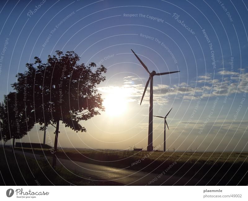 wind Tree Wind energy plant Sun Sky Nature