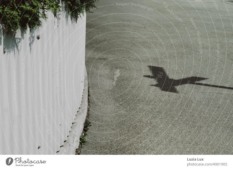 Street signs cast intersecting shadows on the sidewalk Road signs Direction Shadow ardor Hot Crucifix Fence Garden thuja thuja jacket White Curve Turn off